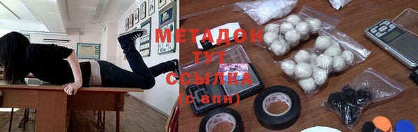 прущие грибы Михайловка