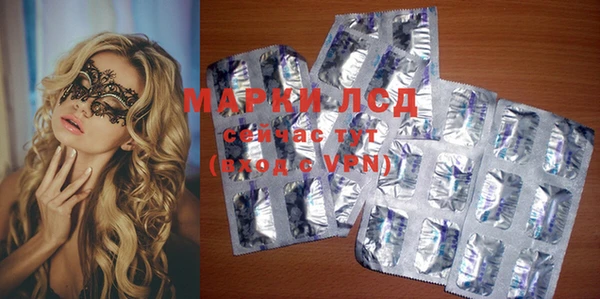 прущие грибы Михайловка
