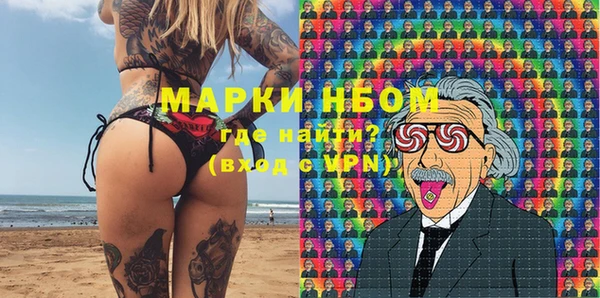 прущие грибы Михайловск