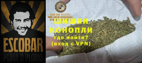 прущие грибы Михайловск