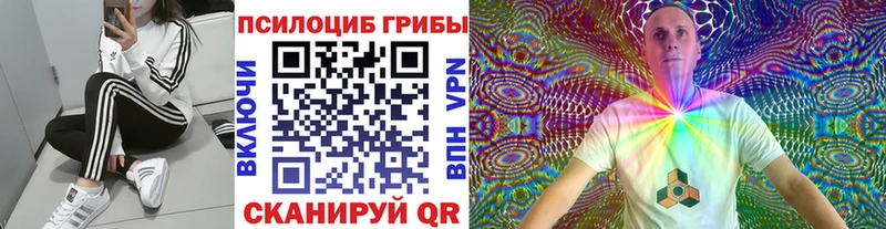 Галлюциногенные грибы GOLDEN TEACHER  где найти наркотики  Балаково 